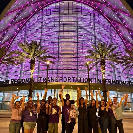 PDSA ITP Awareness Month Light Up Monument Purple